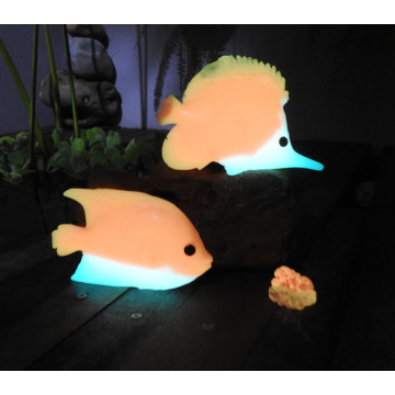 Kit peixe fosforescente Glowe